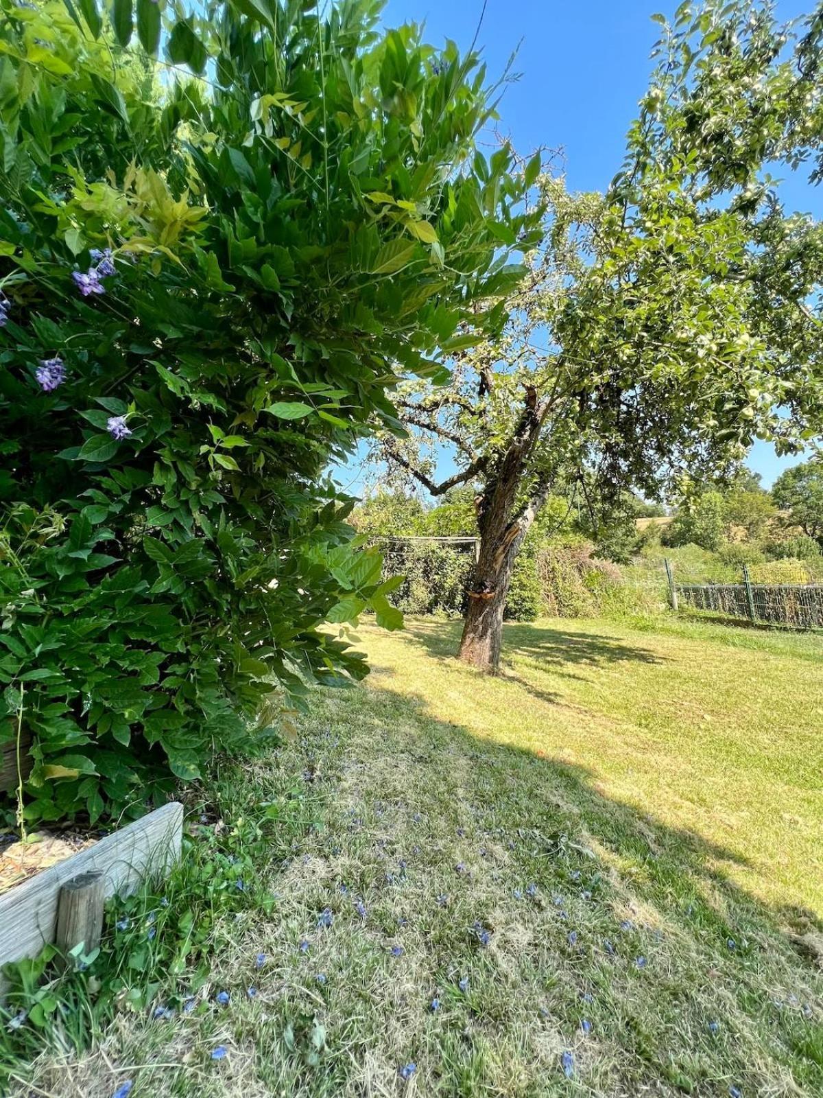 Villa La Baronnie - 11 Pers - Proche Brive -Jardin Ussac Εξωτερικό φωτογραφία