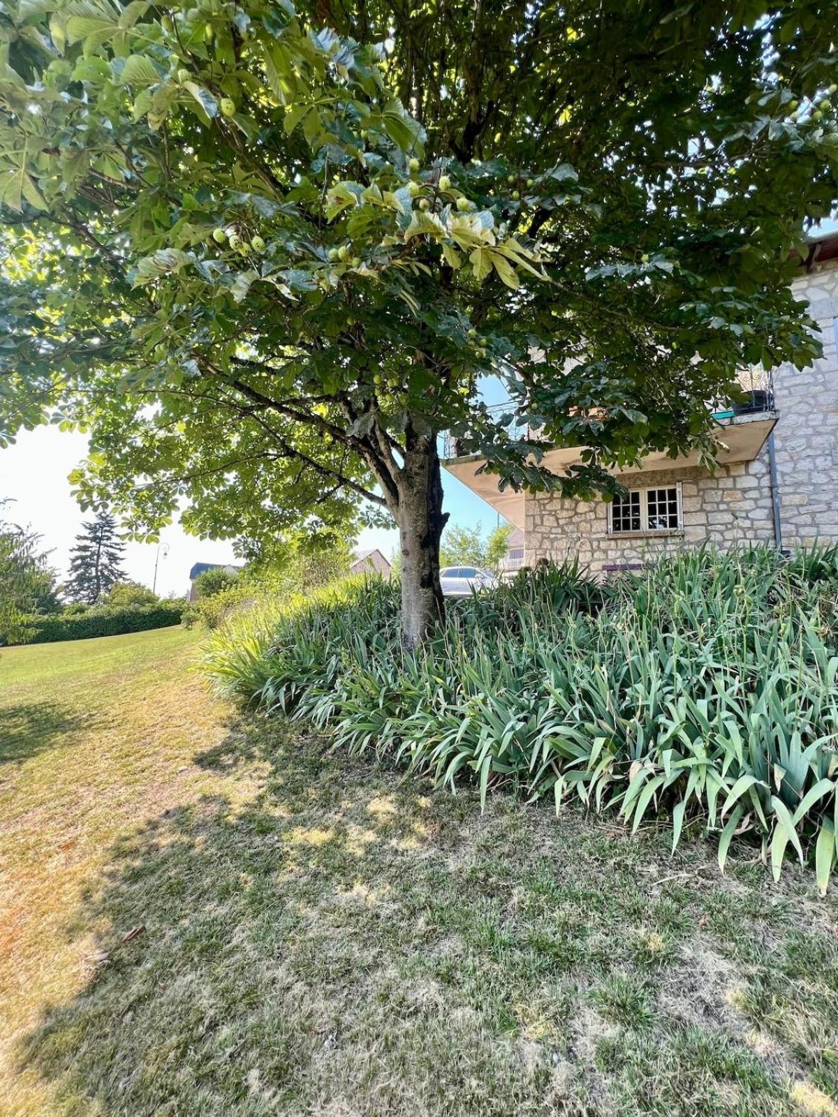 Villa La Baronnie - 11 Pers - Proche Brive -Jardin Ussac Εξωτερικό φωτογραφία